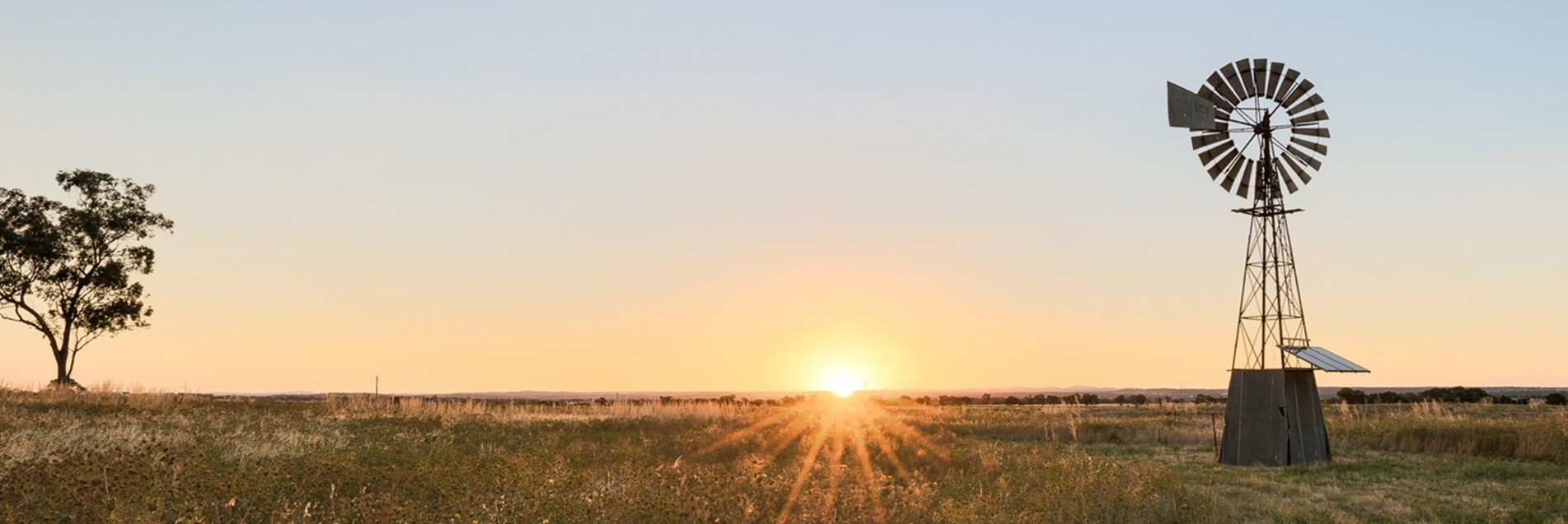 why choose farm credit bank of texas