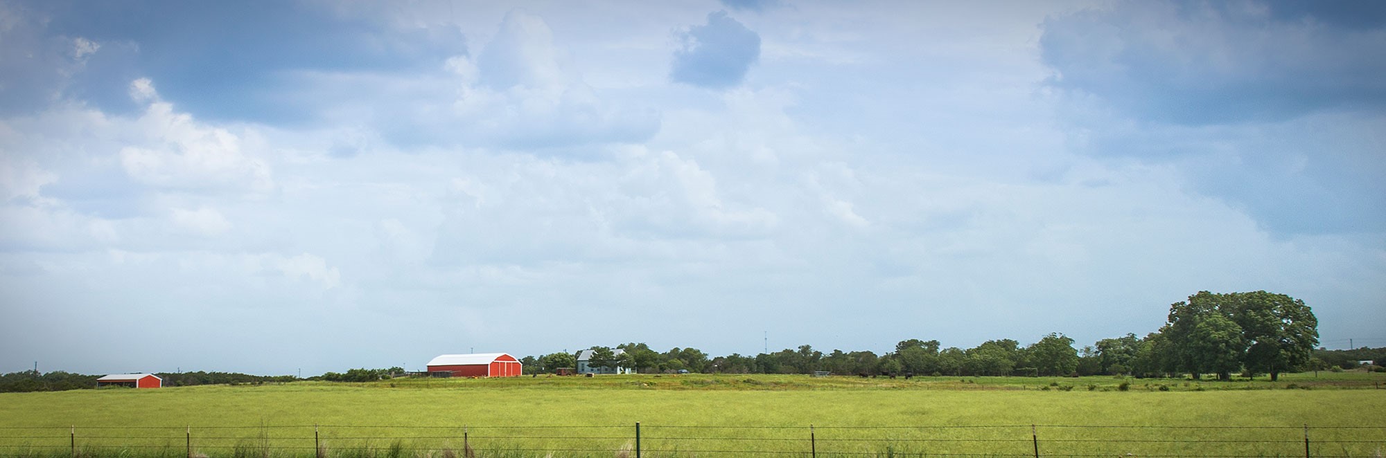 Rural scene